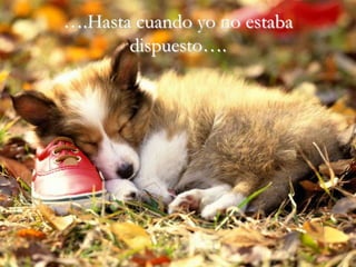 ….Hasta cuando yo no estaba
       dispuesto….
 