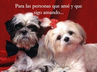 Para las personas que amé y que
         sigo amando...
 