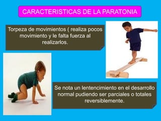 Paratonia expo | PDF