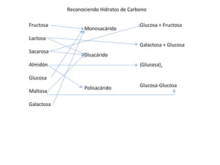 Reconociendo Hidratos de Carbono

Fructosa                                 Glucosa + Fructosa
                  Monosacárido
Lactosa
                                         Galactosa + Glucosa
Sacarosa
                  Disacárido
Almidón                                  (Glucosa)n

Glucosa
                  Polisacárido           Glucosa-Glucosa
Maltosa

Galactosa
 