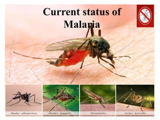 Current status of
Malaria
 