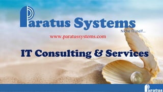 Systems
www.paratussystems.com
IT Consulting & Services
Niche Thyself…
 