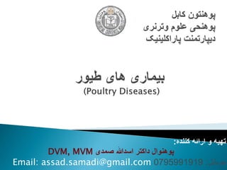 Paratyphoid infections