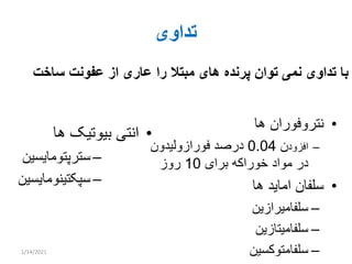 Paratyphoid infections