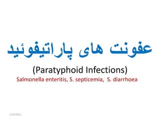 Paratyphoid infections