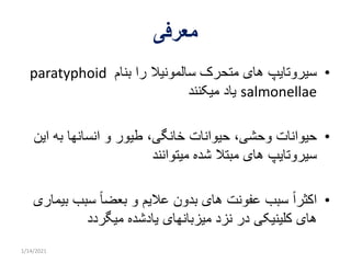 Paratyphoid infections