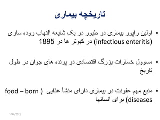 Paratyphoid infections