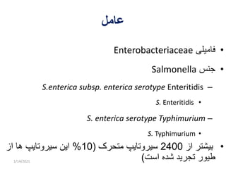 Paratyphoid infections