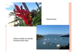 Flores da ilha
Vista em todas as manhãs
Exclusivo para você.
 