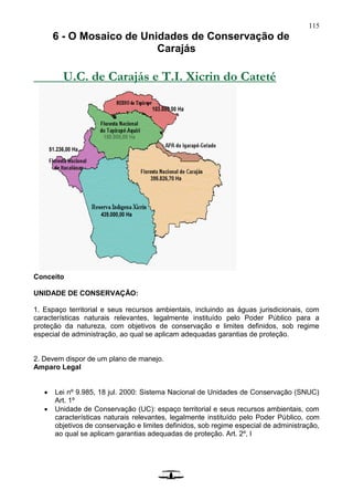 115
6 - O Mosaico de Unidades de Conservação de
Carajás
U.C. de Carajás e T.I. Xicrin do Cateté
Conceito
UNIDADE DE CONSERVAÇÃO:
1. Espaço territorial e seus recursos ambientais, incluindo as águas jurisdicionais, com
características naturais relevantes, legalmente instituído pelo Poder Público para a
proteção da natureza, com objetivos de conservação e limites definidos, sob regime
especial de administração, ao qual se aplicam adequadas garantias de proteção.
2. Devem dispor de um plano de manejo.
Amparo Legal
 Lei nº 9.985, 18 jul. 2000: Sistema Nacional de Unidades de Conservação (SNUC)
Art. 1º
 Unidade de Conservação (UC): espaço territorial e seus recursos ambientais, com
características naturais relevantes, legalmente instituído pelo Poder Público, com
objetivos de conservação e limites definidos, sob regime especial de administração,
ao qual se aplicam garantias adequadas de proteção. Art. 2º, I
 