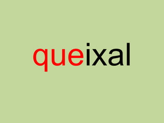 queixal
 