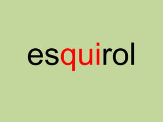 esquirol
 