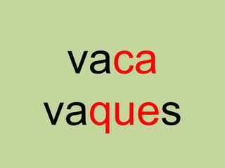 vaca
vaques
 