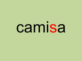 camisa
 
