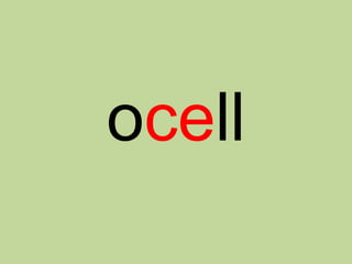 ocell
 