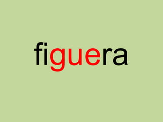 figuera
 