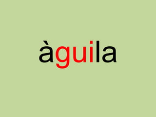 àguila
 