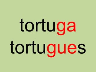 tortuga
tortugues
 