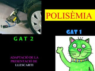 POLISÈMIA
                    GAT 1 1
                      GAT
 GAT 2


ADAPTACIÓ DE LA
PRESENTACIÓ DE
  LLESCARTI
 