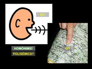 DIT




HOMÒNIMS?
HOMÒNIMS!           DIT
POLISÈMICS?
 