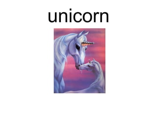 unicorn
 