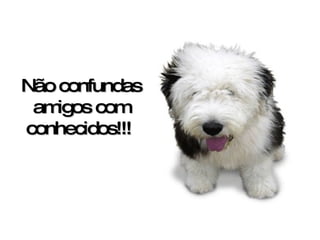 Não confundas amigos com conhecidos!!!   