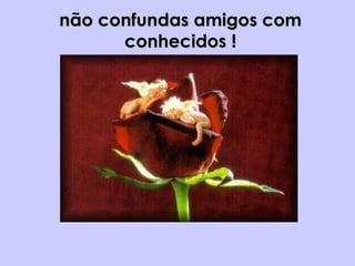 não confundas amigos comnão confundas amigos com
conhecidos !conhecidos !
 