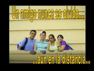 Un amigo nunca se olvida....  ...aun en la distancia... 