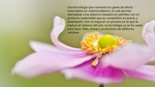 Una tecnología que convierte los gases de efecto
invernadero en material plástico, la cual permite
reemplazar a los plásticos basados en petróleo con un
producto sustentable que es competitivo en precio y
desempeño. Esto se logra en un proceso en el que se
captura el carbono del aire. La tecnología ya se ha usado
para hacer sillas, bolsas y protectores de teléfonos
celulares.
 