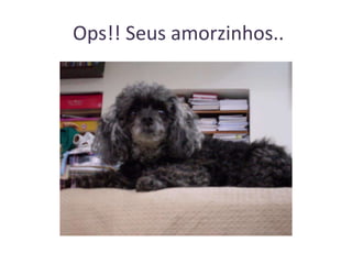 Ops!! Seus amorzinhos..

 