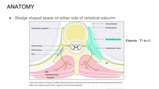 ANATOMY
● Wedge shaped space on either side of vertebral coloumn
Extends : T1 to L1
 