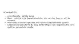 BOUNDARIES
● Anterolaterally : parietal pleura
● Base : vertebral body, intervertebral disc, intervertebral foremen with its
contents
● Posteriorly : transverse process and superior costotransverse ligament
● Endothoracic fascia forms the deep border of space and separates the nerve
root from sympathetic ganglia
 