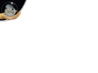 Paraxial and intermediate mesoderm