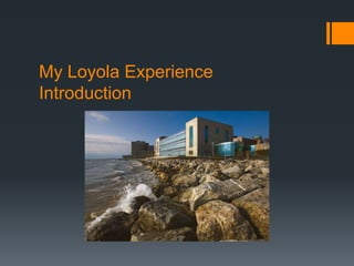 My Loyola Experience 
Introduction 
 