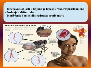 - Izbegavati oblasti u kojima je bolest široko rasprostranjena
- Nošenje zaštitne odeće
- Koriščenje hemijskih sredstava protiv muva
 