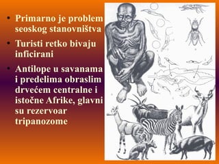  Primarno je problem
seoskog stanovništva
 Turisti retko bivaju
inficirani
 Antilope u savanama
i predelima obraslim
drvećem centralne i
istočne Afrike, glavni
su rezervoar
tripanozome
 