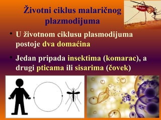 Životni ciklus malaričnog
plazmodijuma

U životnom ciklusu plasmodijuma
postoje dva domaćina

Jedan pripada insektima (komarac), a
drugi pticama ili sisarima (čovek)
 
