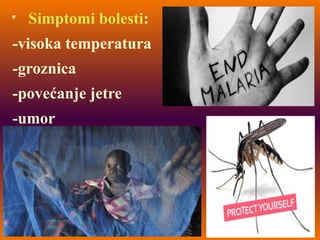 Simptomi bolesti:
-visoka temperatura
-groznica
-povećanje jetre
-umor
 