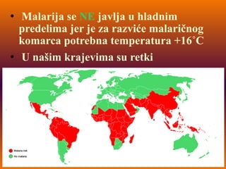  Malarija se NE javlja u hladnim
predelima jer je za razviće malaričnog
komarca potrebna temperatura +16˚C
 U našim krajevima su retki
 