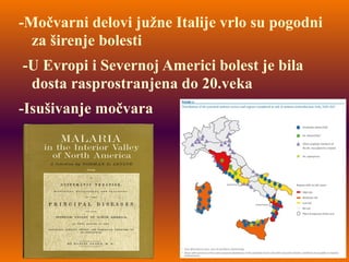 -Močvarni delovi južne Italije vrlo su pogodni
za širenje bolesti
-U Evropi i Severnoj Americi bolest je bila
dosta rasprostranjena do 20.veka
-Isušivanje močvara
 