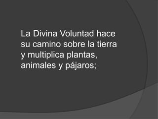 La Divina Voluntad hace
su camino sobre la tierra
y multiplica plantas,
animales y pájaros;
 