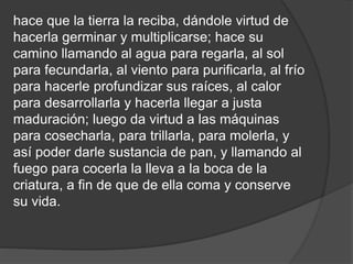 hace que la tierra la reciba, dándole virtud de
hacerla germinar y multiplicarse; hace su
camino llamando al agua para regarla, al sol
para fecundarla, al viento para purificarla, al frío
para hacerle profundizar sus raíces, al calor
para desarrollarla y hacerla llegar a justa
maduración; luego da virtud a las máquinas
para cosecharla, para trillarla, para molerla, y
así poder darle sustancia de pan, y llamando al
fuego para cocerla la lleva a la boca de la
criatura, a fin de que de ella coma y conserve
su vida.
 