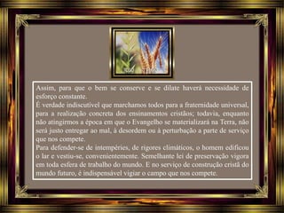 Assim, para que o bem se conserve e se dilate haverá necessidade de
esforço constante.
É verdade indiscutível que marchamos todos para a fraternidade universal,
para a realização concreta dos ensinamentos cristãos; todavia, enquanto
não atingirmos a época em que o Evangelho se materializará na Terra, não
será justo entregar ao mal, à desordem ou à perturbação a parte de serviço
que nos compete.
Para defender-se de intempéries, de rigores climáticos, o homem edificou
o lar e vestiu-se, convenientemente. Semelhante lei de preservação vigora
em toda esfera de trabalho do mundo. E no serviço de construção cristã do
mundo futuro, é indispensável vigiar o campo que nos compete.
 