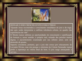 DEIXAR O JOIO CRESCER JUNTO COM O TRIGO
“Quando Jesus recomendou o crescimento simultâneo do joio e do trigo,
não quis senão demonstrar a sublime tolerância celeste, no quadro das
experiências da vida”.
O Mestre nunca subtraiu as oportunidades de crescimento e santificação
do homem e, nesse sentido, o próprio mal, oriundo das paixões menos
dignas, é pacientemente examinado por seu infinito amor, sem ser
destruído de pronto.
Importa considerar, portanto, que o joio não cresce por relaxamento do
Lavrador Divino, mas sim porque o otimismo do Celeste Semeador nunca
perde a esperança na vitória final do bem. O joio surge ameaçando o
serviço.
 