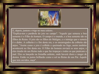 E, depois, juntem o trigo no meu celeiro.
"Explica-nos a parábola do joio no campo". "Aquele que semeou a boa
semente é o Filho do homem. O campo é o mundo, e a boa semente são os
filhos do Reino. O joio são os filhos do Maligno, e o inimigo que o semeia
é o diabo. A colheita é o fim desta era, e os encarregados da colheita são
anjos. "Assim como o joio é colhido e queimado no fogo, assim também
acontecerá no fim desta era. O Filho do homem enviará os seus anjos, e
eles tirarão do seu Reino tudo o que faz tropeçar e todos os que praticam o
mal. Eles os lançarão na fornalha ardente, onde haverá choro e ranger de
dentes. Então os justos brilharão como o sol no Reino do seu Pai. Aquele
que tem ouvidos, ouça".
 