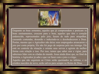 Enquanto as boas sementes, aqueles que já compreendem e praticam os
bons ensinamentos, crescem para o bem, aqueles que têm o coração
endurecido, representados pelo joio, fazem de tudo para atrapalhar,
causando contendas, desunião e induzindo-os a desobedecerem a Deus.
Porém, mesmo que o Agricultor não deixe seus empregados arrancarem o
joio por conta própria, Ele não foi pego de surpresa pelo seu inimigo. Ele
está no controle da situação e orienta seus servos a agirem da melhor
forma com relação a isso. Por isso, temos que saber orar e vigiar, para
sabermos lidar com as ciladas do mundo. Jesus ainda disse que, no final da
história, o Agricultor já sabe o que vai fazer com o joio e o trigo.
Aqueles que não seguirem ao Cristo serão queimados no inferno, e os
cristãos nascidos de novo, serão salvos para sempre no Reino de Deus.
 
