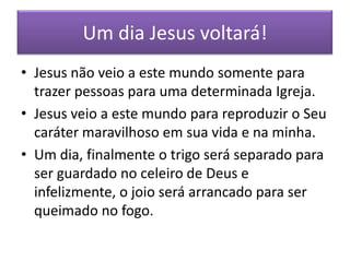 Um dia Jesus voltará!
• Jesus não veio a este mundo somente para
trazer pessoas para uma determinada Igreja.
• Jesus veio a este mundo para reproduzir o Seu
caráter maravilhoso em sua vida e na minha.
• Um dia, finalmente o trigo será separado para
ser guardado no celeiro de Deus e
infelizmente, o joio será arrancado para ser
queimado no fogo.

 