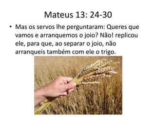 Mateus 13: 24-30
• Mas os servos lhe perguntaram: Queres que
vamos e arranquemos o joio? Não! replicou
ele, para que, ao separar o joio, não
arranqueis também com ele o trigo.

 