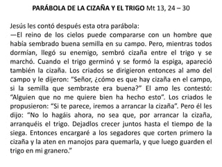 PARÁBOLA DE LA CIZAÑA Y EL TRIGO Mt 13, 24 – 30
Jesús les contó después esta otra parábola:
—El reino de los cielos puede compararse con un hombre que
había sembrado buena semilla en su campo. Pero, mientras todos
dormían, llegó su enemigo, sembró cizaña entre el trigo y se
marchó. Cuando el trigo germinó y se formó la espiga, apareció
también la cizaña. Los criados se dirigieron entonces al amo del
campo y le dijeron: “Señor, ¿cómo es que hay cizaña en el campo,
si la semilla que sembraste era buena?” El amo les contestó:
“Alguien que no me quiere bien ha hecho esto”. Los criados le
propusieron: “Si te parece, iremos a arrancar la cizaña”. Pero él les
dijo: “No lo hagáis ahora, no sea que, por arrancar la cizaña,
arranquéis el trigo. Dejadlos crecer juntos hasta el tiempo de la
siega. Entonces encargaré a los segadores que corten primero la
cizaña y la aten en manojos para quemarla, y que luego guarden el
trigo en mi granero.”
 