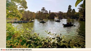 El Llac és un dels centres neuràlgics del parc.
 